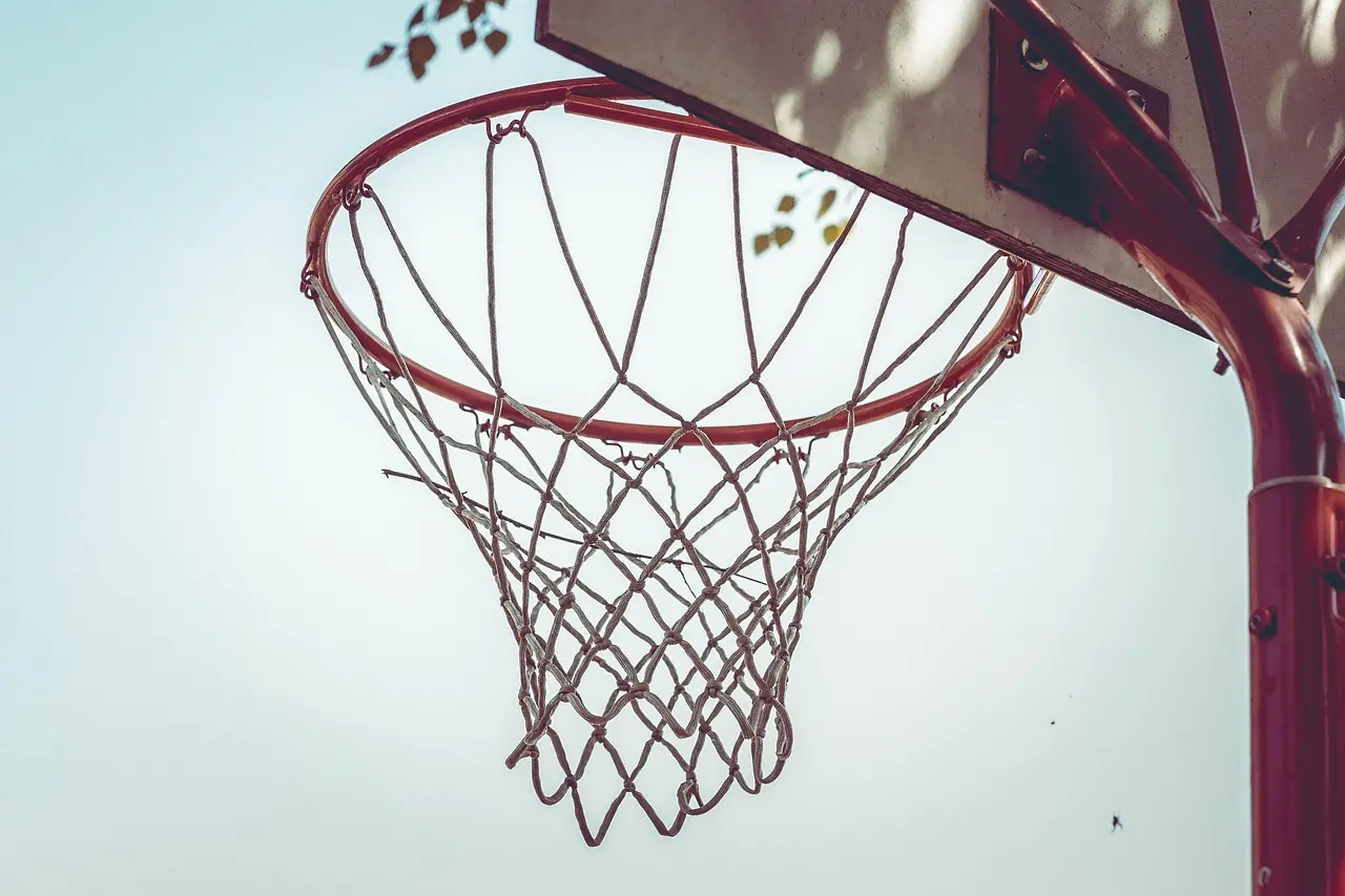 Basketballkurv og net